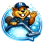 BIVER Cleaning